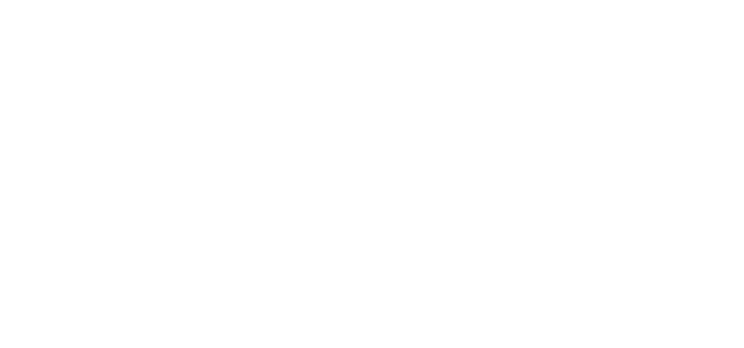 VN Logoreverse (1)